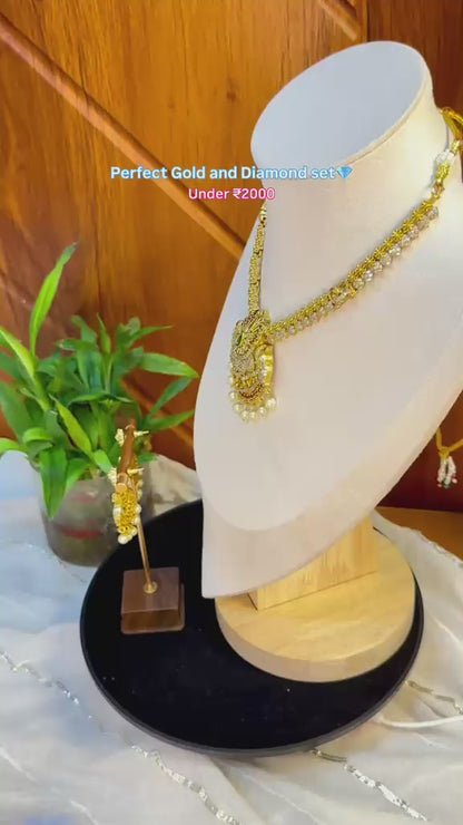Shri Shobha Necklace Set
