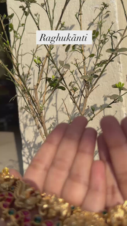 Sridhar Temple Necklace set