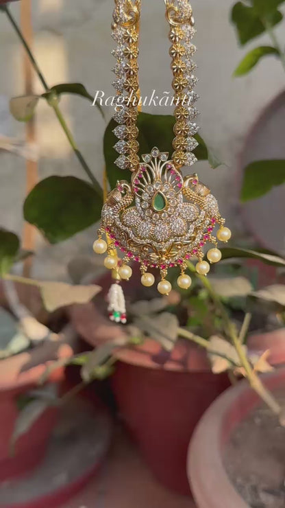 Shri Shobha Necklace Set