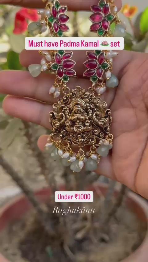 Padma Laxmi Necklace Set