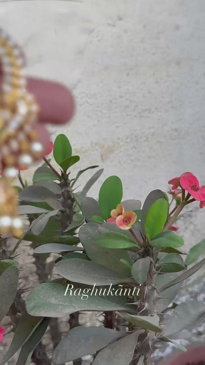 Preethi AD Earcuff