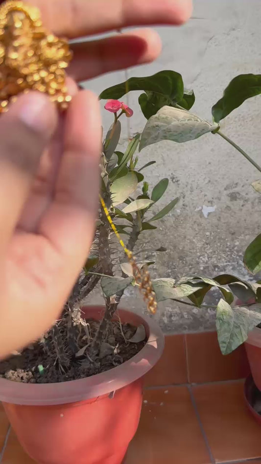 Mahalaxmi Invisible Chain Pendant Set